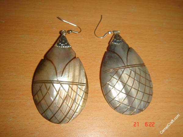 shell-checks-ER-02