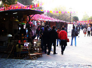 Delhi haat INA market