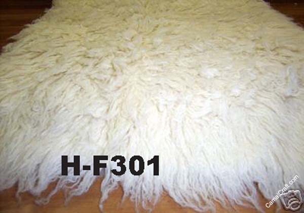 H-F301