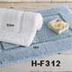H-F312